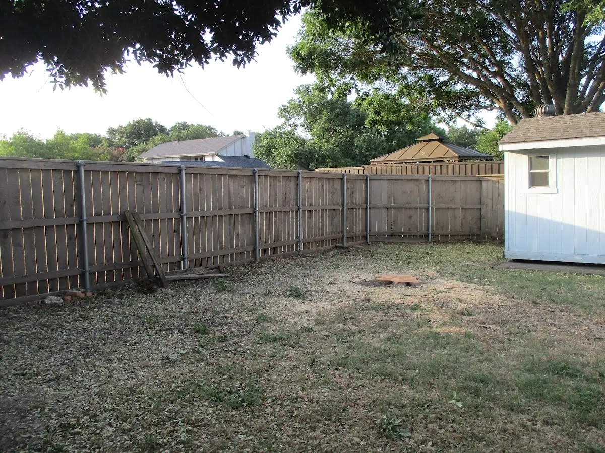 Cleared yard after professional tree removal in Scott City